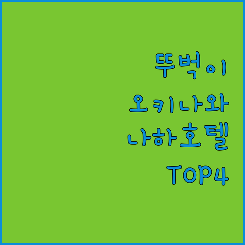 오키나와 자유여행 뚜벅이 필수 숙소 ..