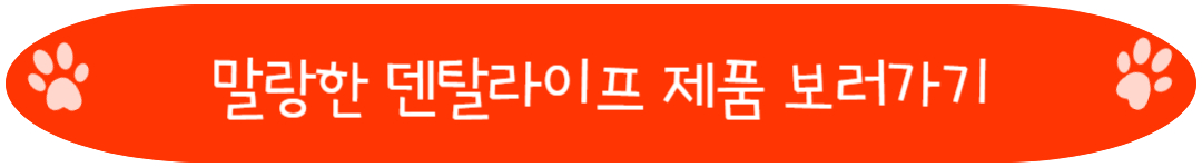 말랑한 덴탈라이프 제품 보러가기