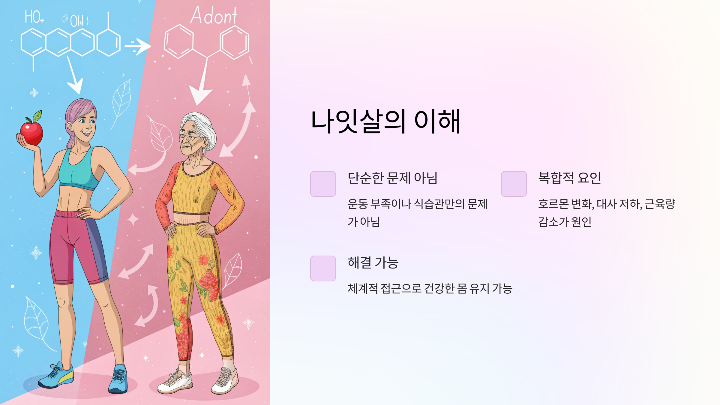 나잇살의 이해
