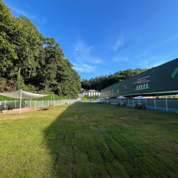 자유로멍놀러와 애견테마파크