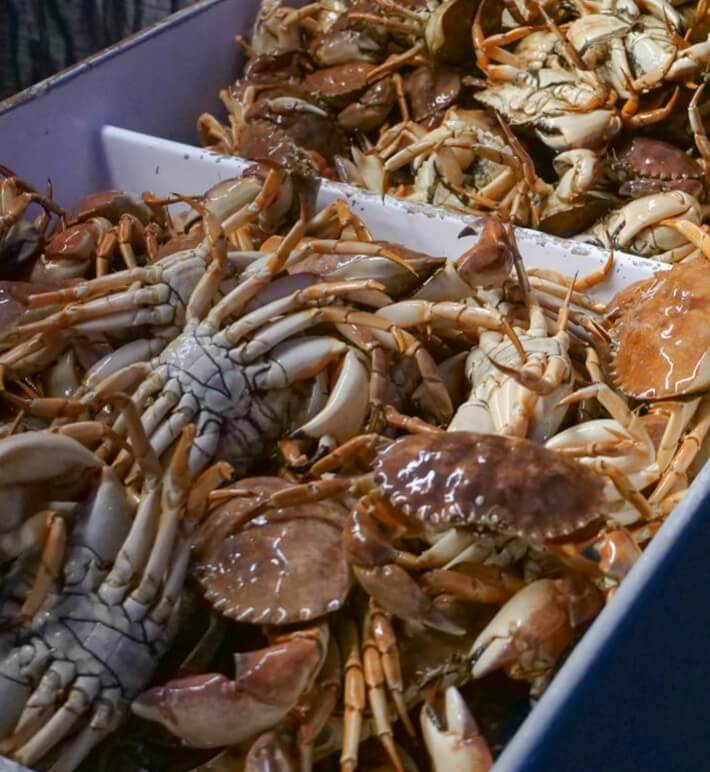 5월-수산대전-가정의달-특별전-수산시장-수산물