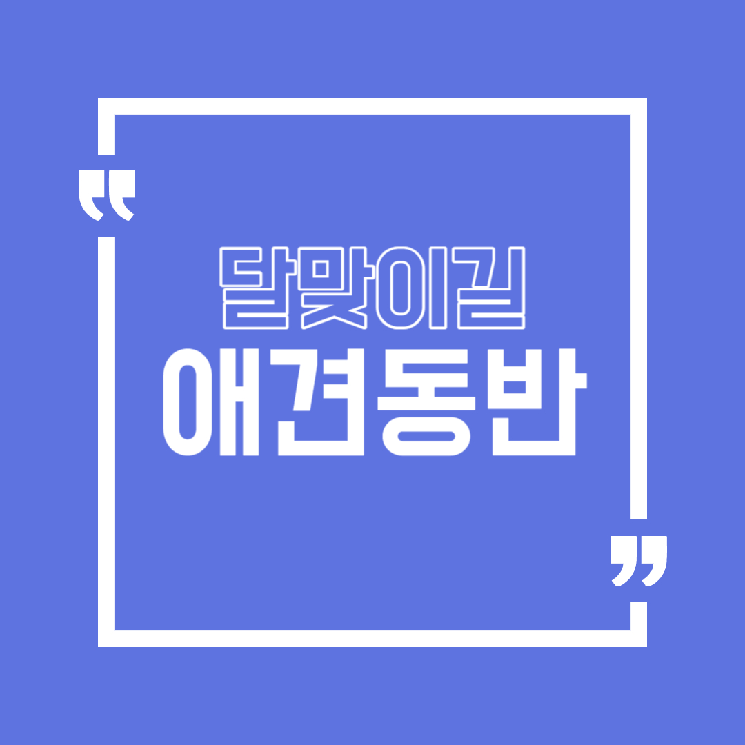 해운대 달맞이길 애견동반