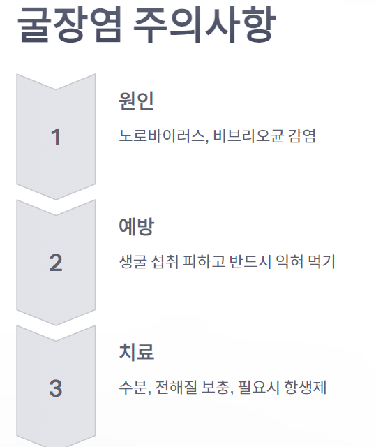 장염약&amp;#44; 굴장염&amp;#44; 장염영어로