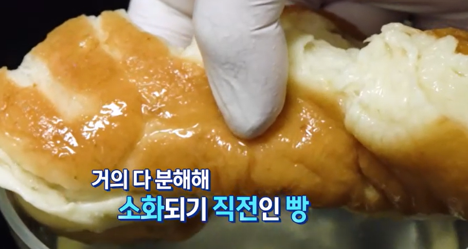 모로실 효능