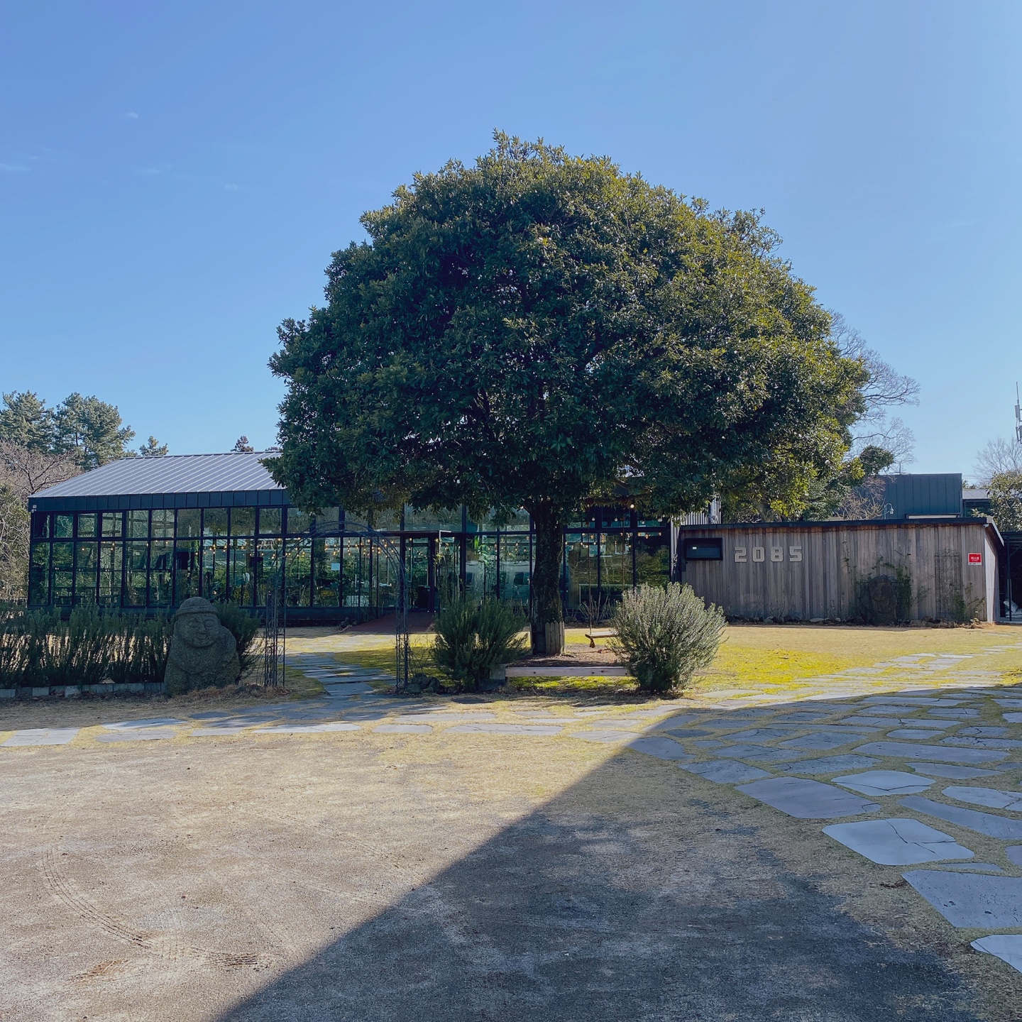 제주 조천 거문오름 2085카페