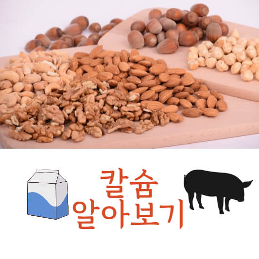 칼슘
