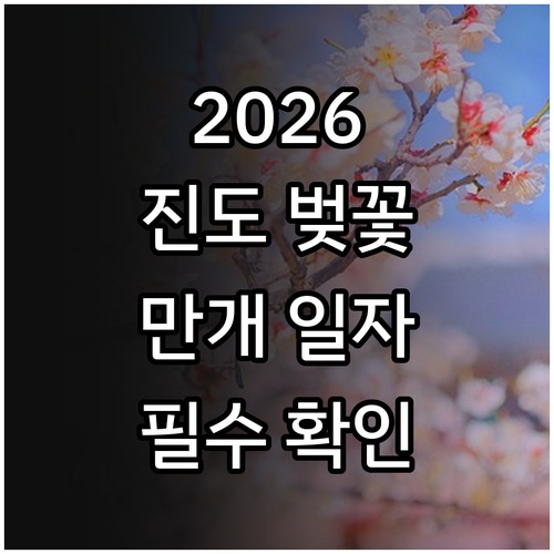 2026년 진도 벚꽃 개화 시기 및 ..