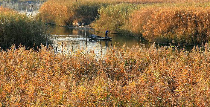 허베이성 바이양덴