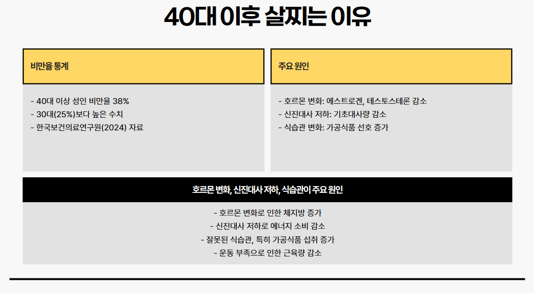 40대 이후 살찌는 이유 개요
