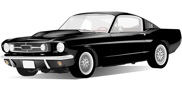 자동차 매트 청소