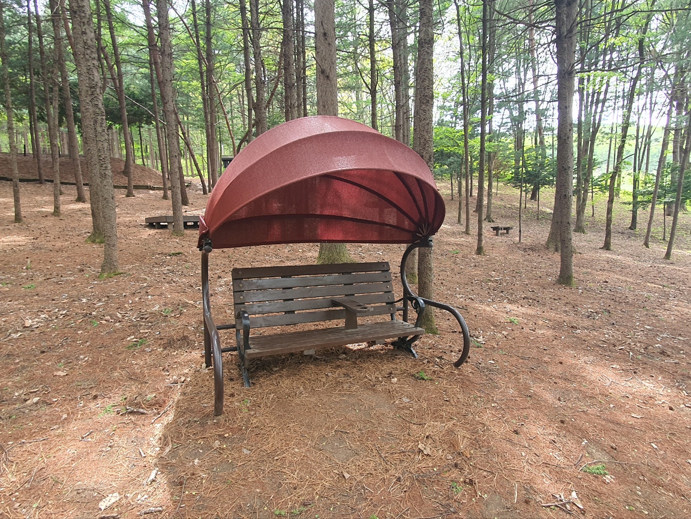 봉래산산림욕장