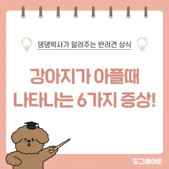 강아지 아플 때 증상 10가지 주의해야 할 건강 신호_32