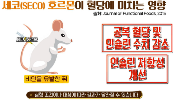 링곤베리 효능