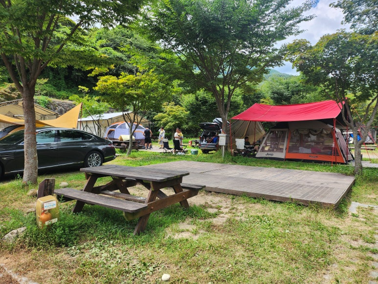 구례군 피아골오토캠핑장 소개