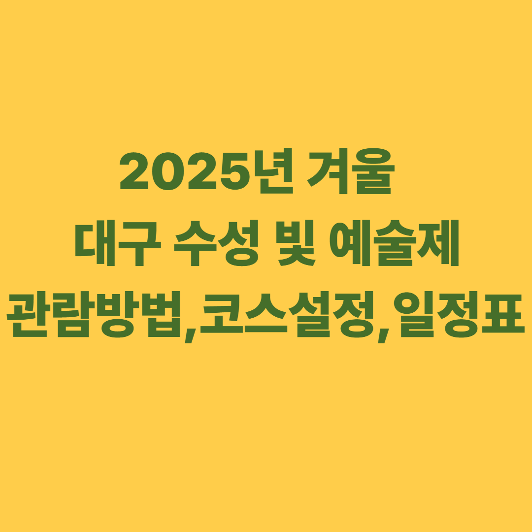 2025년 겨울 대구 수성 빛 예술제