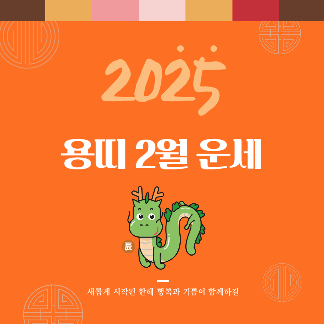 2025년 을사년 『용띠』 2월 운세
