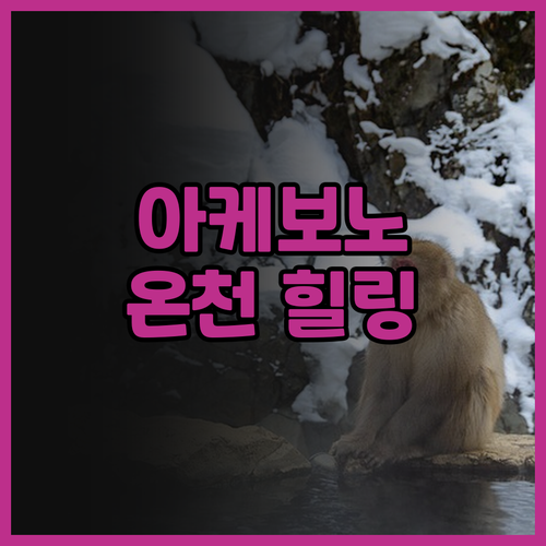 사가 료칸 아케보노 숙박 후기! 온천..