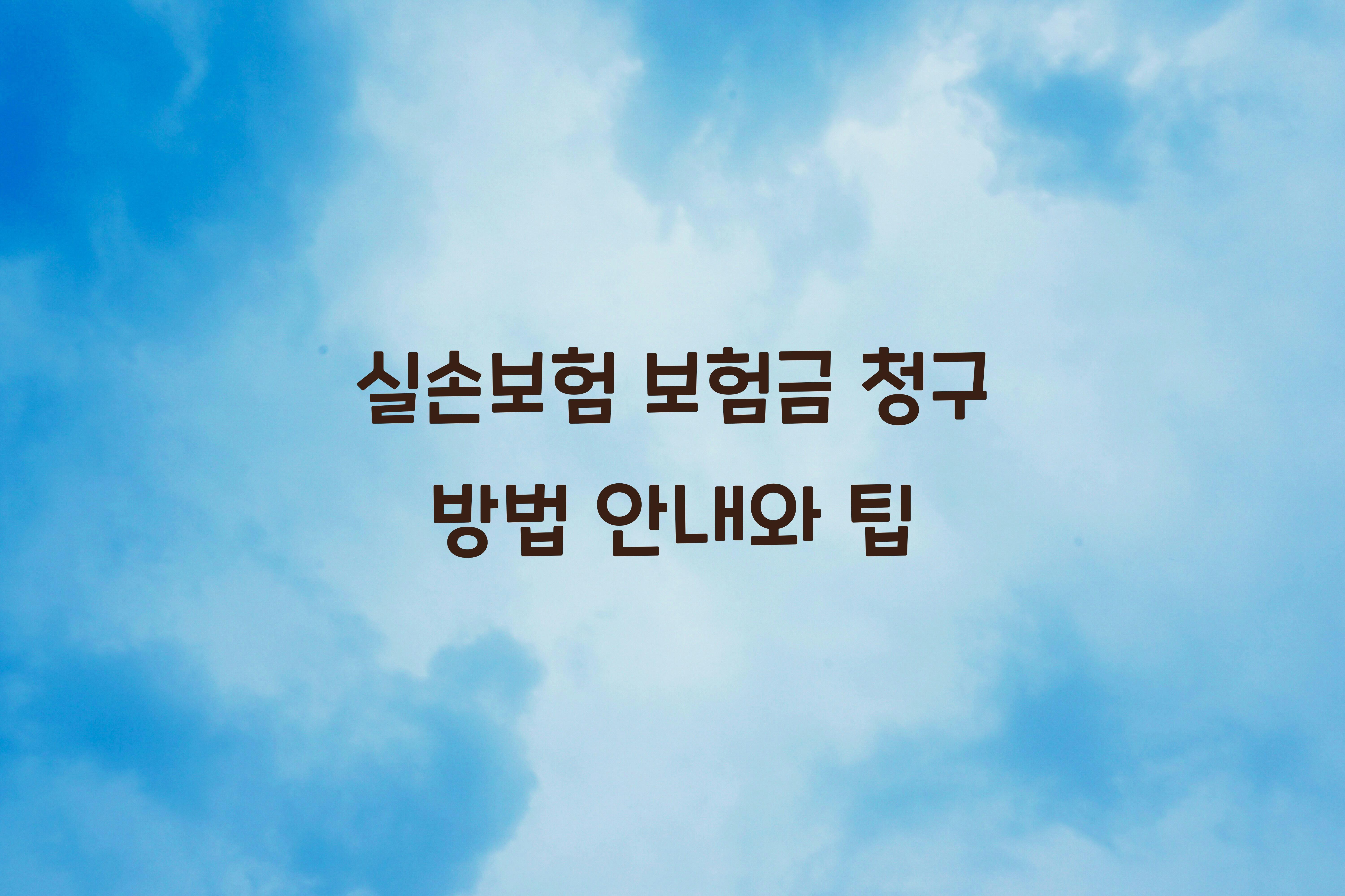 실손보험 보험금 청구 방법 안내