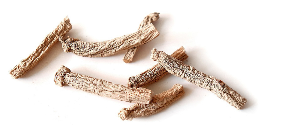 야생에서 채취를 한 인삼 7뿌리를 깨끗하게 세척을 하고 잔뿌리를 제거한 후에 바싹 말린 것을 하얀 바닥 위에 놓아두고 찍은 사진