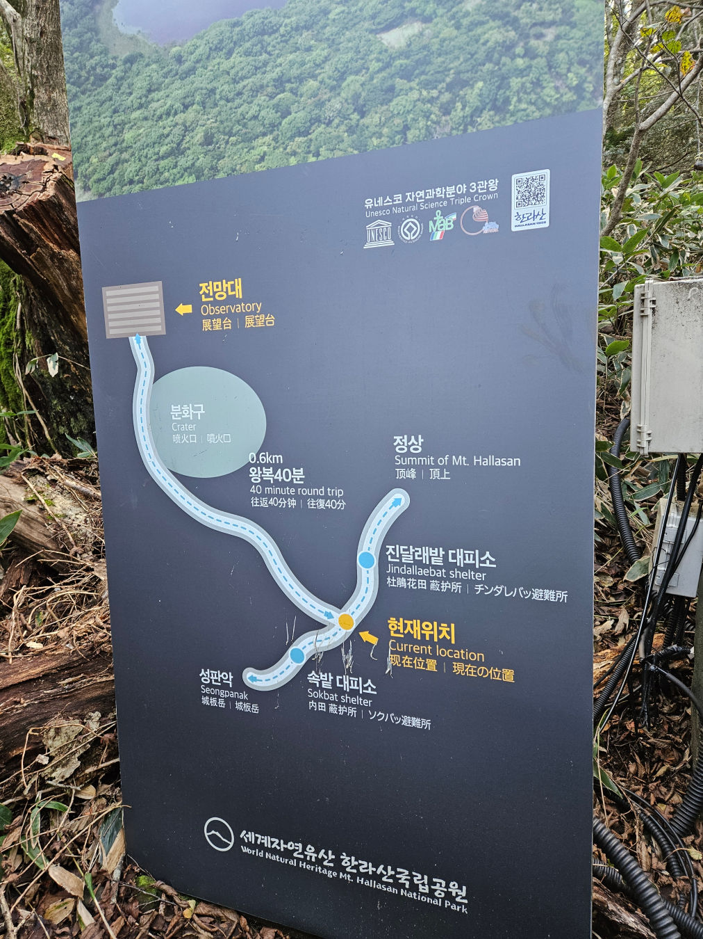 사라오름 소요시간