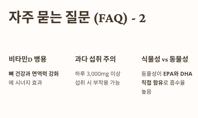 자주 묻는 질문 (FAQ)