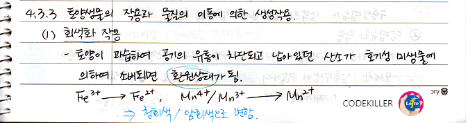 회색화작용