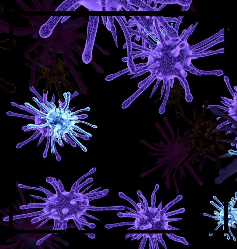 콜레스테롤 정상수치