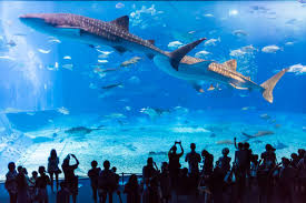 오키나와 여행 하기 좋은 계절