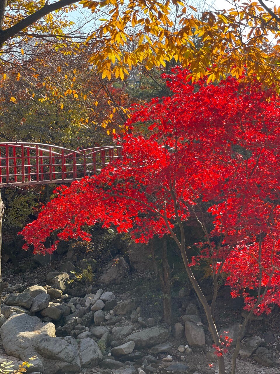 생생정보 핫 플레이스 Now 북한산 둘레길 10구간 북한산 놀면라면 카페 생생정보 2297회