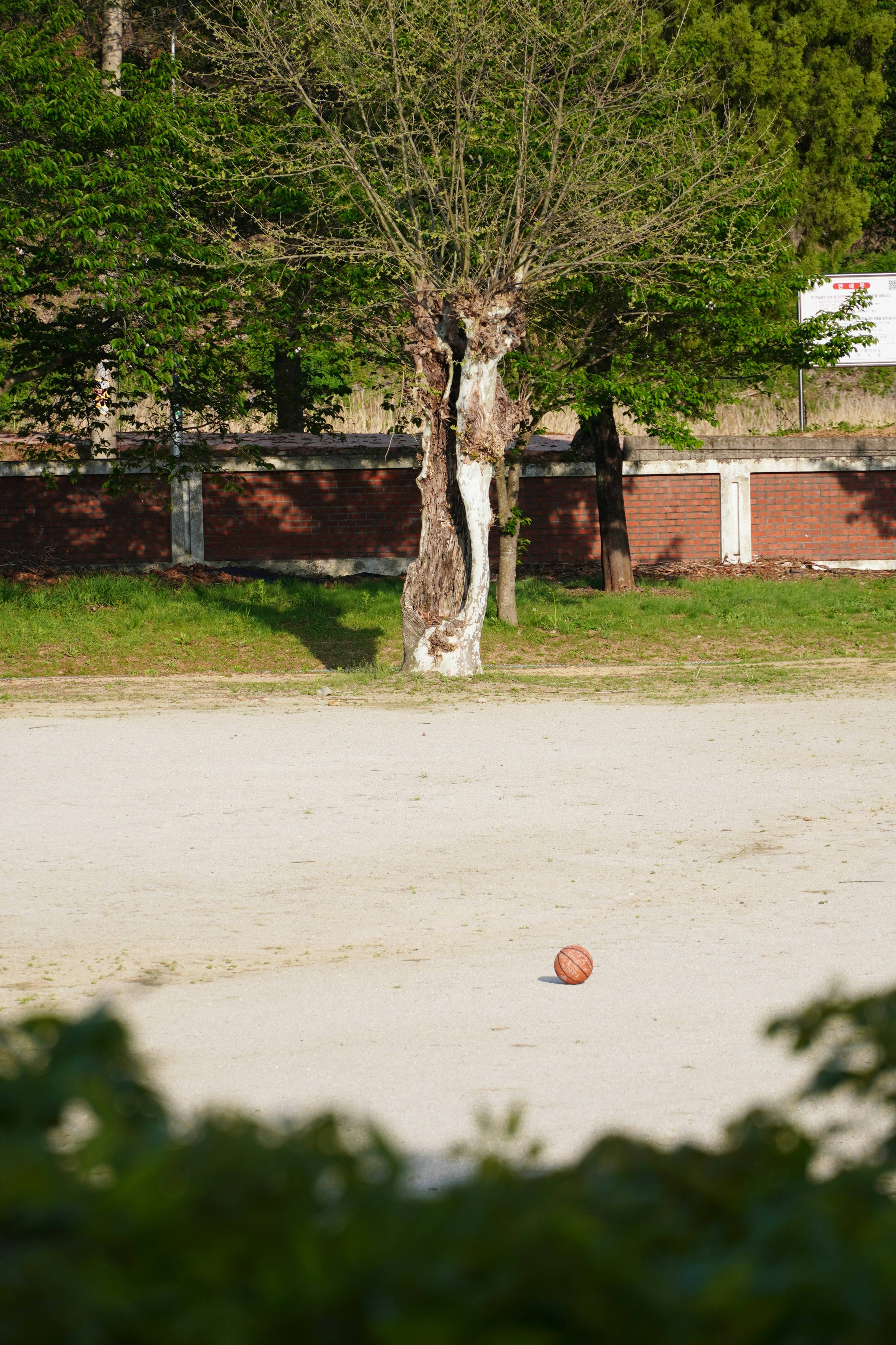 농촌 어촌 이미지