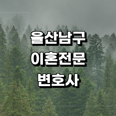 울산 남구 이혼 변호사