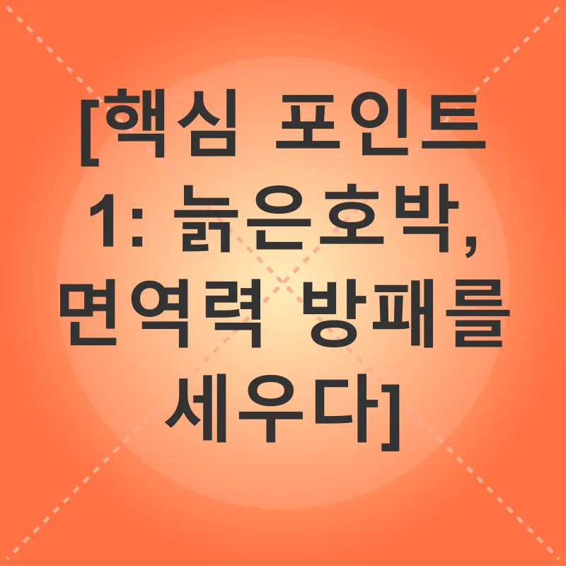 늙은호박 건강 효능_1