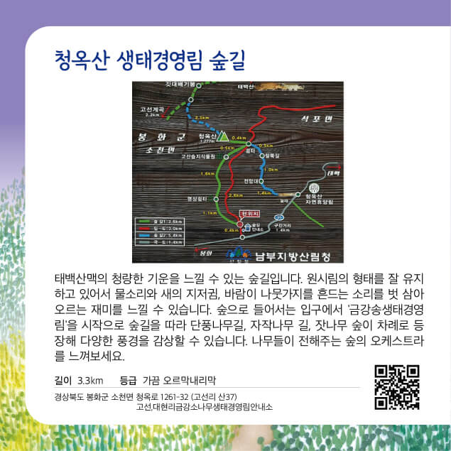 [명품숲길 50선] 경북 봉화군 청옥산 생태경영림 숲길, 가족&middot;연인&middot;등산객 맞춤형 루트 소개