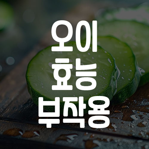 오이 효능 부작용