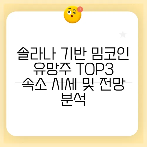 솔라나 기반 밈코인 유망주 TOP3 속소 시세 및 전망 분석