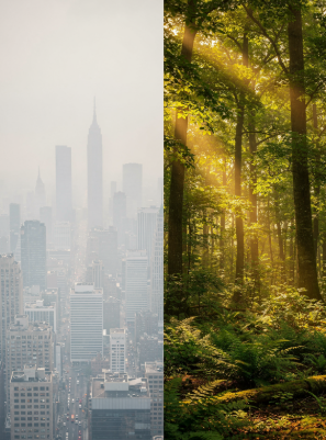 폐에 좋은 음식 10