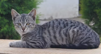 여자창업에 대하여 알아보기