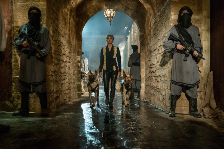 존 윅3: 파라벨럼 줄거리