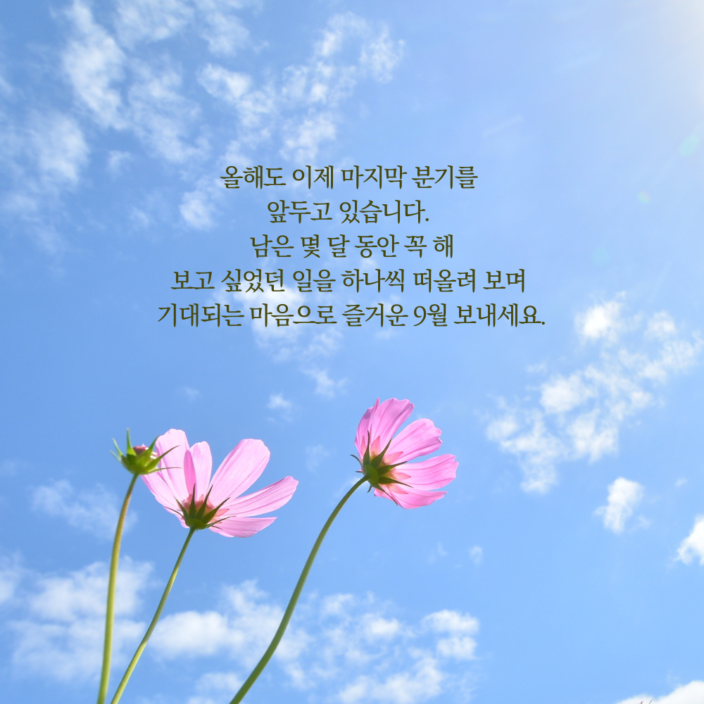 남은 한 해 하고 싶은 일을 떠올리는 2026년 9월 인사말 이미지