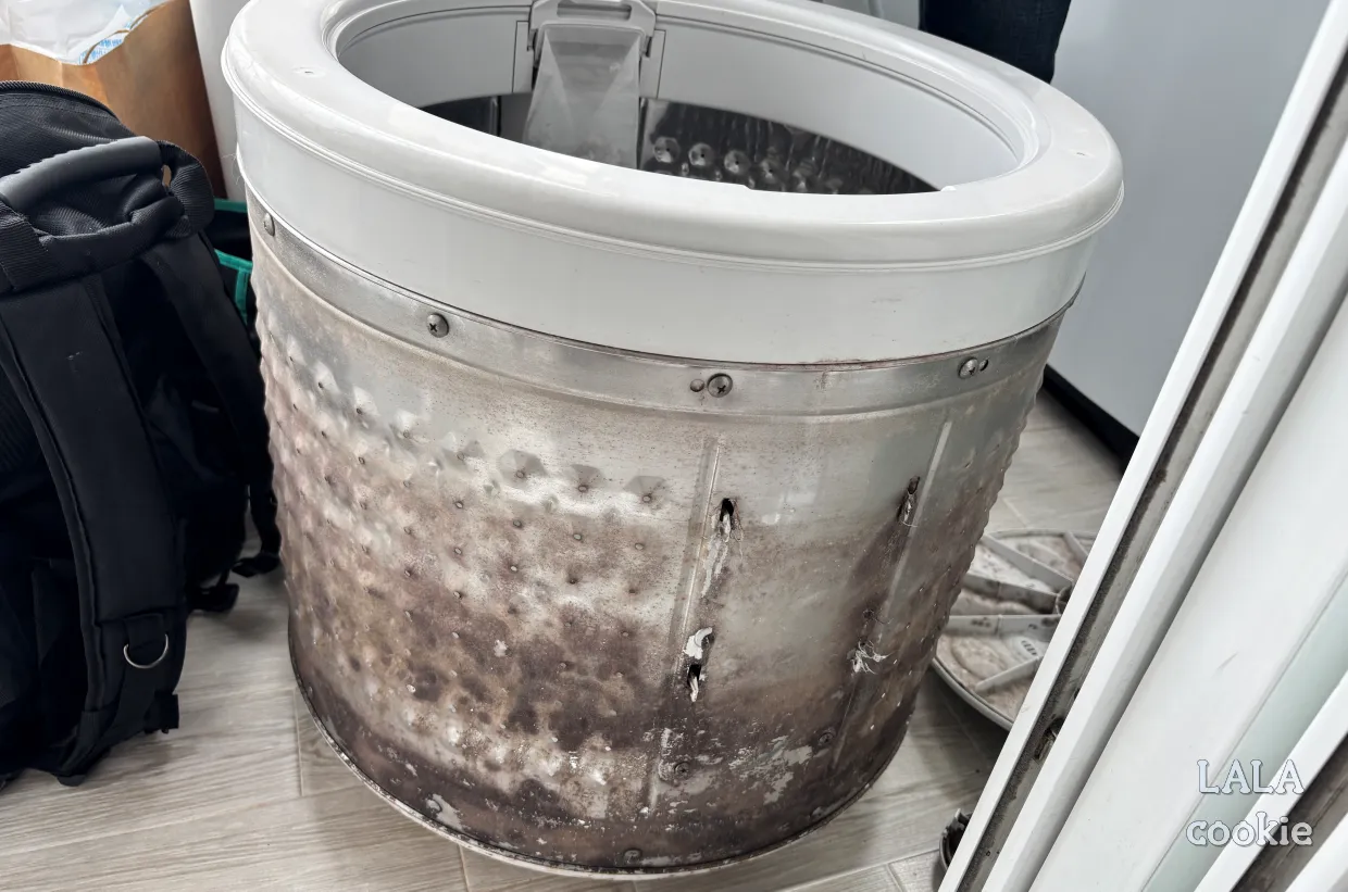 세탁기-청소-전-분리된-부품