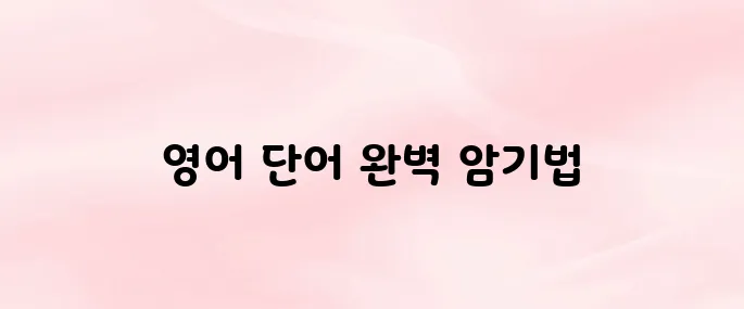 똑똑보카 앱 다운로드｜영어 단어 암기 최적화 앱 (2025 최신)