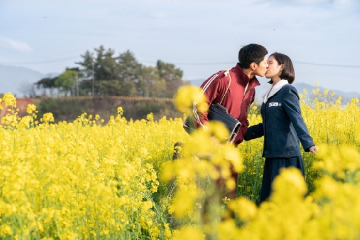 폭싹속았수다 포스터