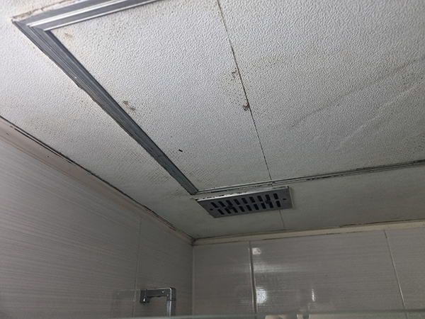 욕실천장곰팡이