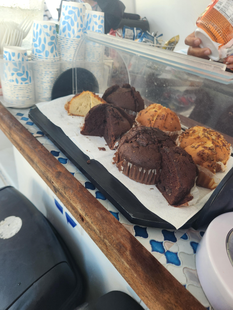 하와이 거북이 스노클링 ( 터틀 스노클링 ) 블루오션 스노클링 음식