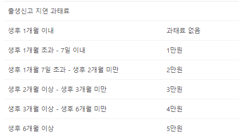 출생신고 준비서류 지연 과태료