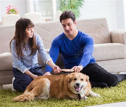 반려 동물을 돌보고 있는 사진