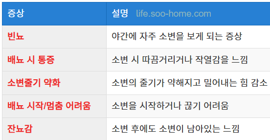 배뇨 관련 증상