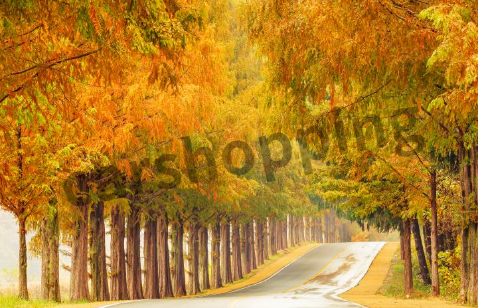 고속도로 교통상황 실시간