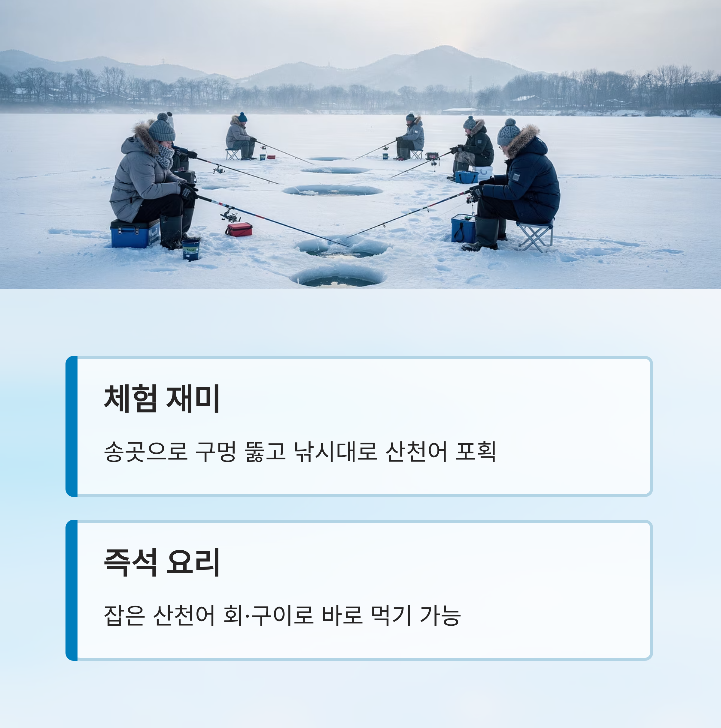 2026 화천 산천어 축제 완벽 가이드