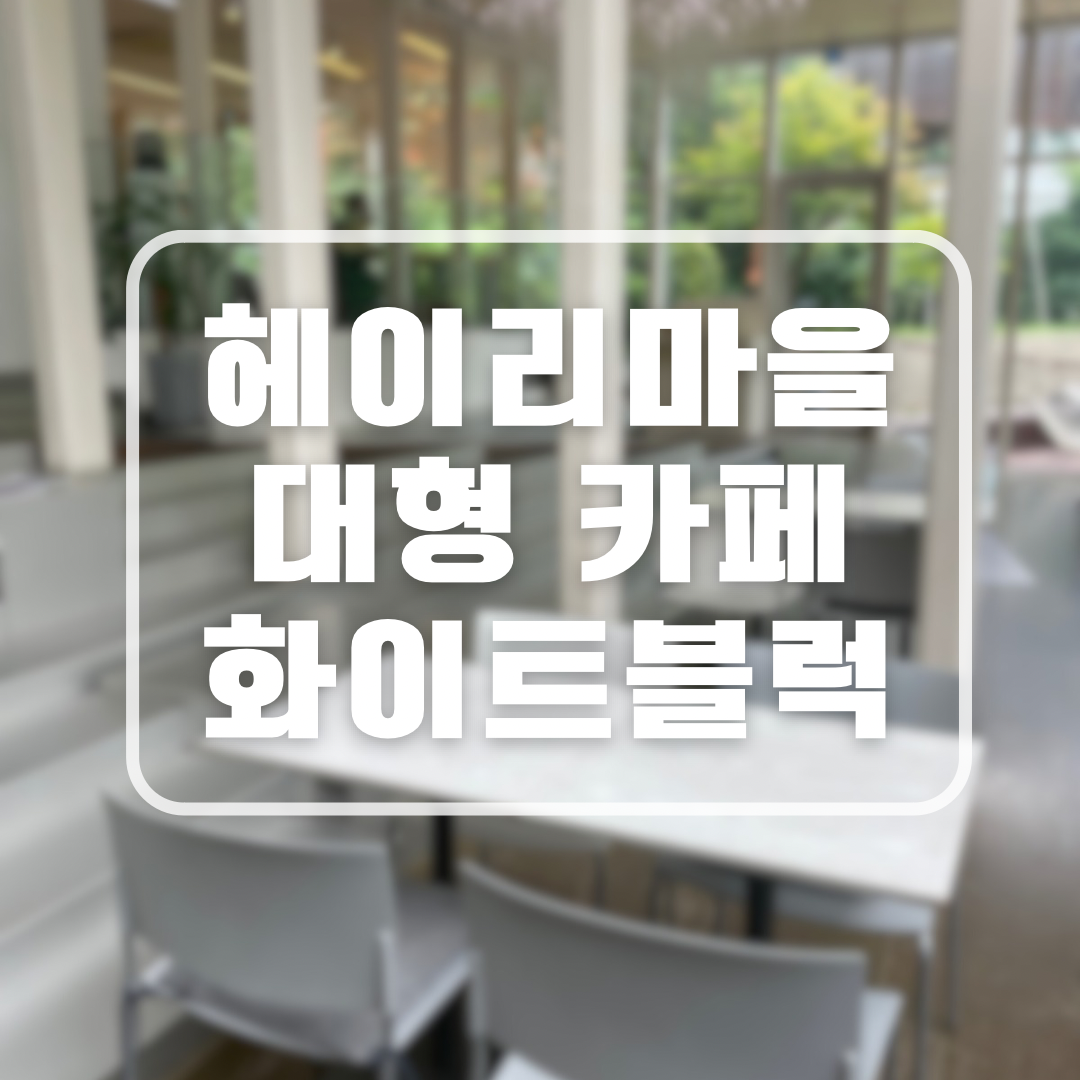 헤이리 대형카페 화이트블럭